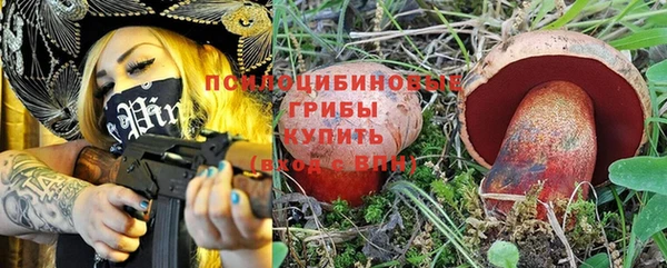 прущие крисы Арсеньев