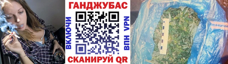 закладка  Макарьев  Бошки Шишки план 
